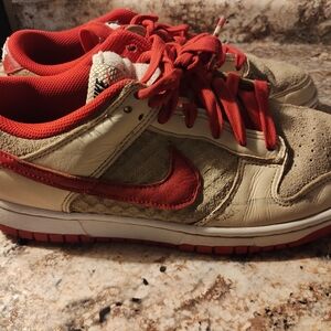 Nike Dunk Beaters